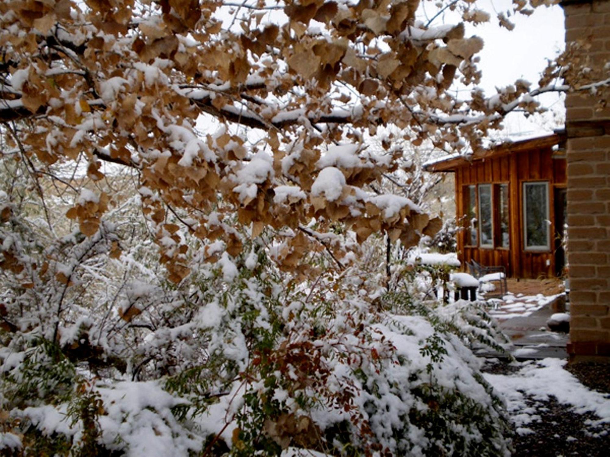 Silver River Adobe Inn Bed And Breakfast Farmington Exterior foto